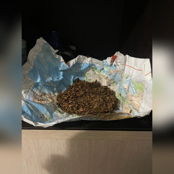 Сотрудники подразделения наркоконтроля задержали сбытчика масла каннабиса в Партизанске Приморского края